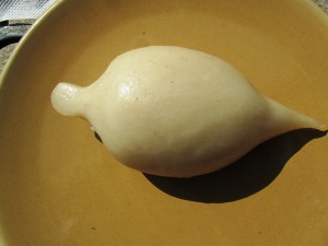 yomari