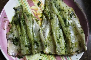 herb marinated fish