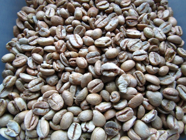Green coffee beans