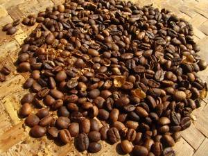 Roasted coffee beans with chaff