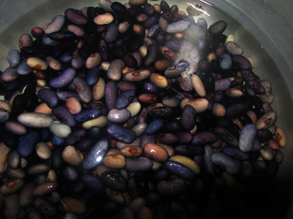 Soaked chirbire beans