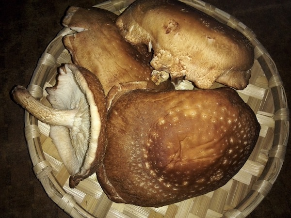 Sautéed Shiitake Mushroom (Nepali style)