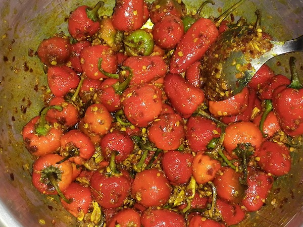 Dalle khursani mixed with spices mixture
