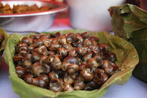 Ghonghi: As Tharu community resides near marshlands, river and flooded plains, their cuisines are characterized by the use of various types of freshwater fishes, crabs, snails, mussels etc. Ghonghi (muddy snails found in paddy fields and streams) is a much-loved delicacy. These snails are cleaned, boiled and then cooked using various spices.
