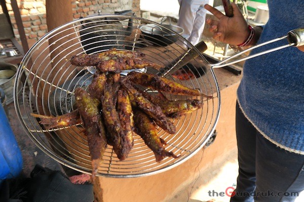 Local fried fish from Trishuli river