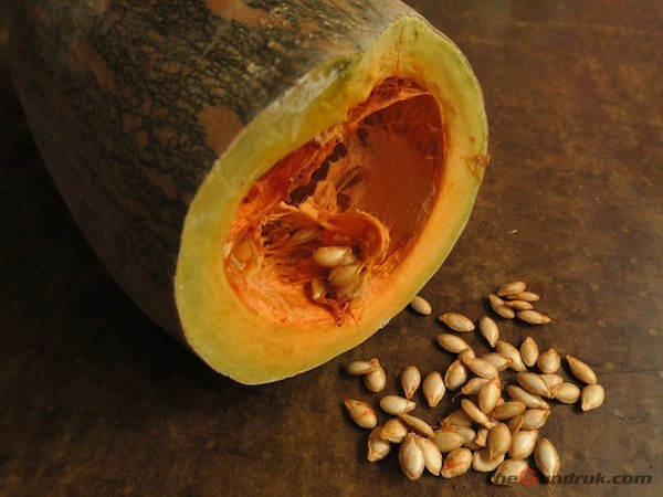 pumpkin and seed