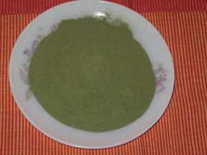 young buckwheat greens flour