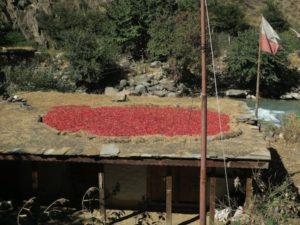 chilies drying in sun in Dolpo
