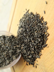 philinge edible oily seeds