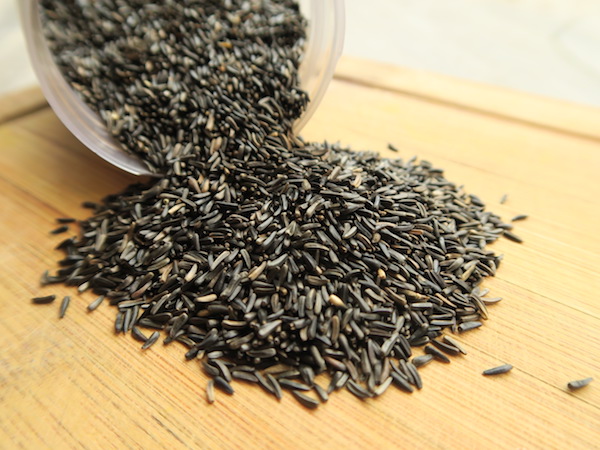 philinge edible oily seeds