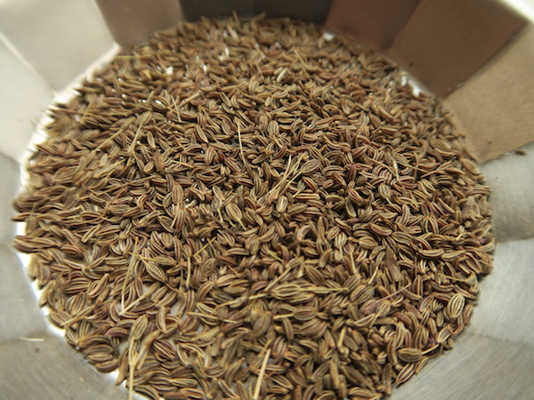 ghoini spice