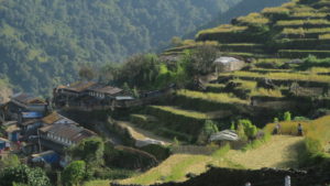 agriculture terraces in Tangting