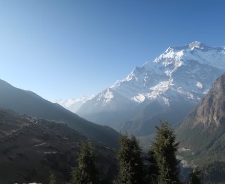 Yak, Trek, and Local Food in Manang